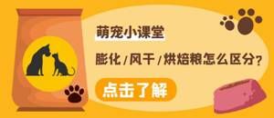 都是宠物干粮，膨化/风干/烘焙粮怎么区分?