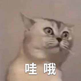 都是宠物干粮，膨化/风干/烘焙粮怎么区分?