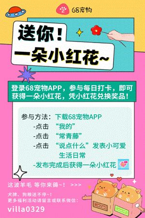 都是宠物干粮，膨化/风干/烘焙粮怎么区分?