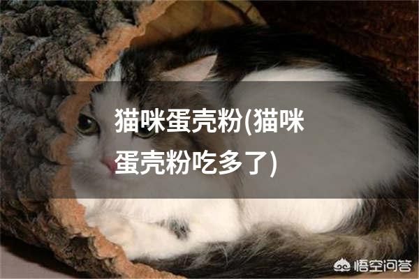 猫咪蛋壳粉(猫咪蛋壳粉吃多了)