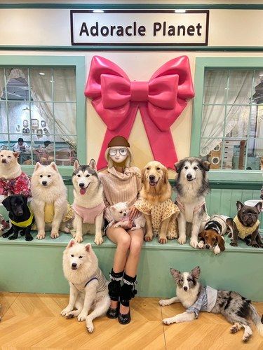 杭州这里...被猫猫狗狗统治的世界！