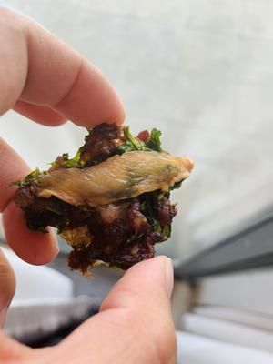 摩飞干果机-宠物零食的做法 步骤3