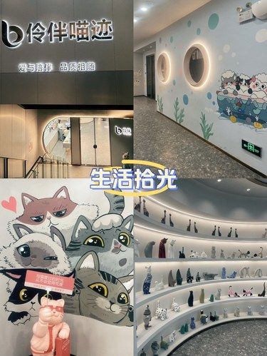 这家猫咖绝对是爱猫人士的天堂