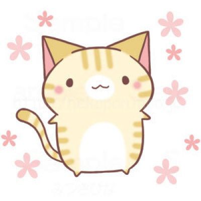 高清可爱小猫头像图片超萌