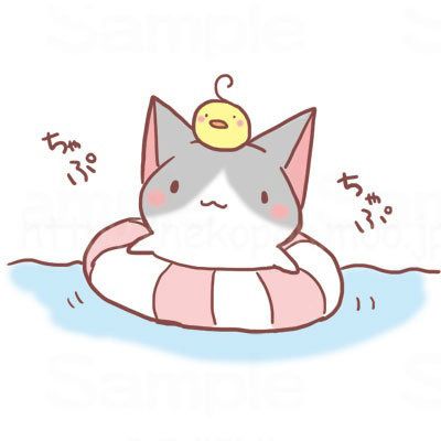 高清可爱小猫头像图片超萌