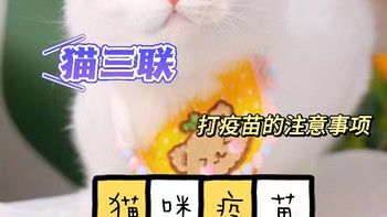 超实用宠物疫苗接种指南！一看就懂√猫咪篇