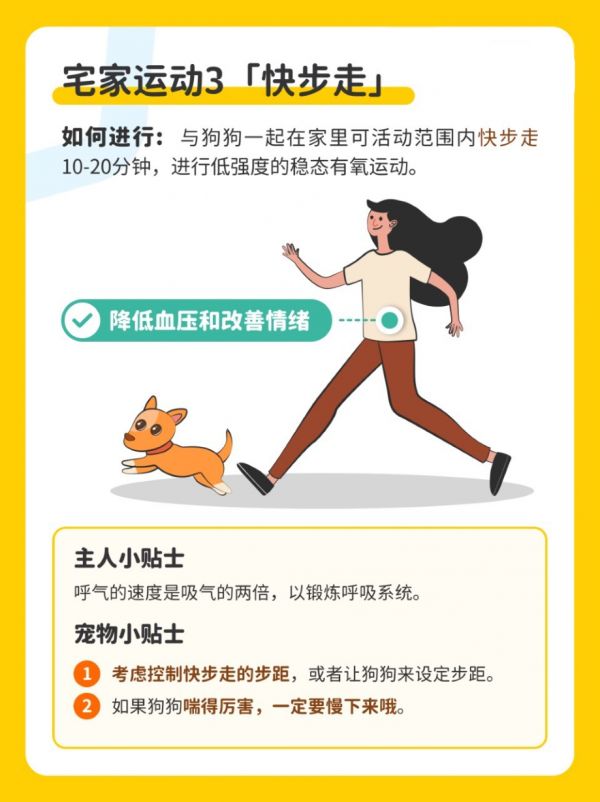疫情宅家健身指南丨和毛孩一起燃烧卡路里