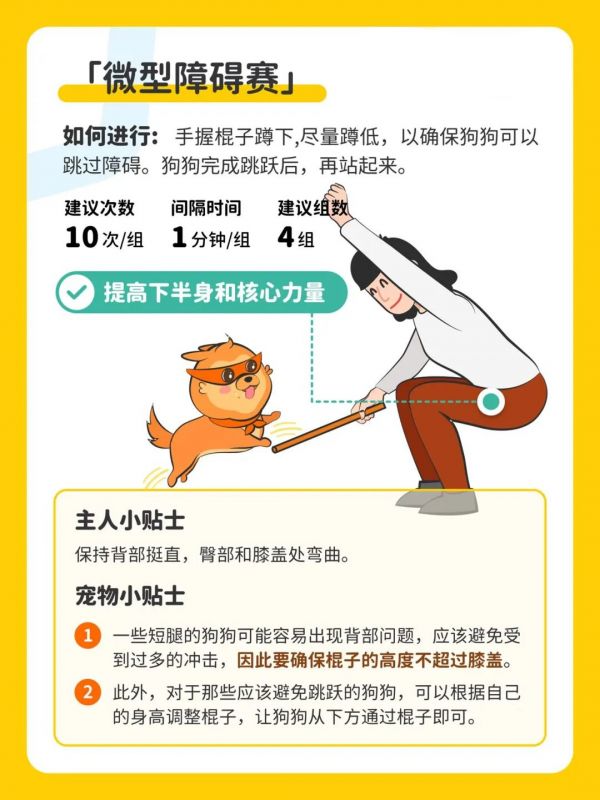 疫情宅家健身指南丨和毛孩一起燃烧卡路里