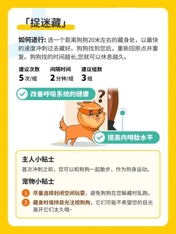 疫情宅家健身指南丨和毛孩一起燃烧卡路里