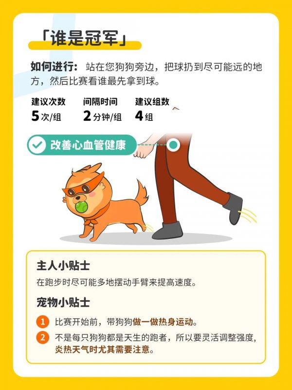 疫情宅家健身指南丨和毛孩一起燃烧卡路里