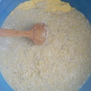 自制狗粮鲜肉版(简单经济实惠)的做法 步骤3