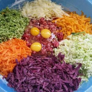 自制狗粮鲜肉版(简单经济实惠)的做法 步骤6