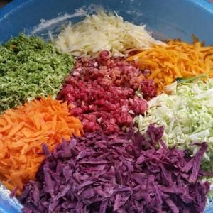 自制狗粮鲜肉版(简单经济实惠)的做法 步骤5