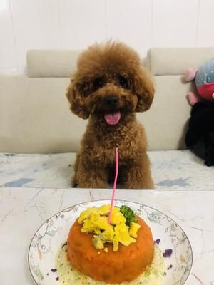 你会做的宠物蛋糕的做法 步骤7