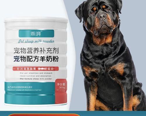 给小狗喂羊奶——宠物生活中的细节