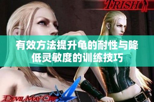 有效方法提升龟的耐性与降低灵敏度的训练技巧