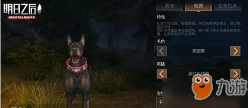 明日之后狗狗怎么选_宠物狗选择方法攻略一览[图]