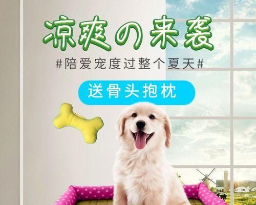 狗狗失眠怎么办？——药物安眠指南
