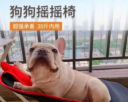 狗狗失眠怎么办？——药物安眠指南