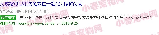 鳄龟vs帝王蟹