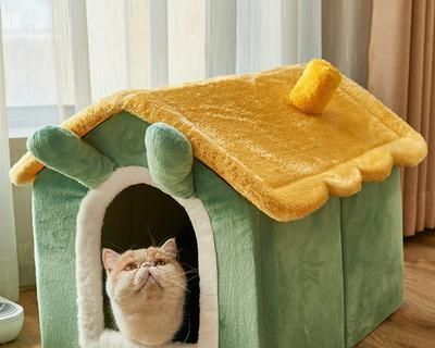 猫咪的理想窝（探寻猫咪最喜欢的窝的特点及选择方法）
