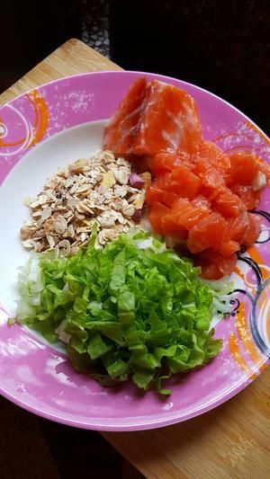 狗狗食谱——鱼肉燕麦饭的做法 步骤2