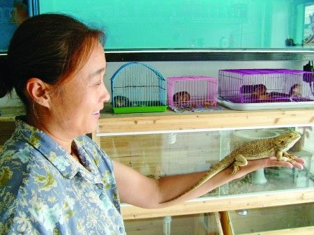小狗小猫“落伍”了
