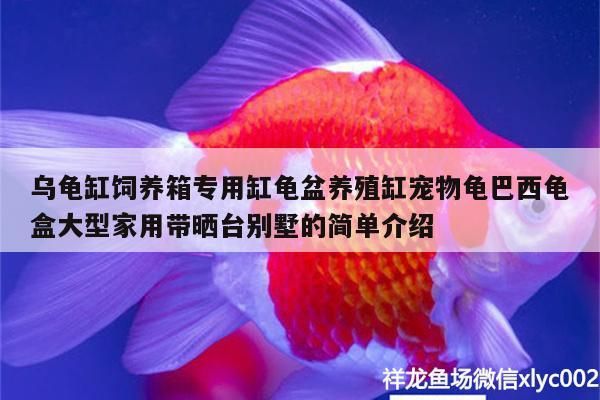 乌龟缸饲养箱专用缸龟盆养殖缸宠物龟巴西龟盒大型家用带晒台别墅的简单介绍 乌龟