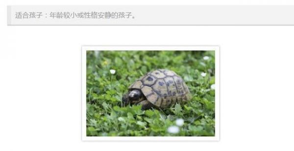 看看你家宝宝适合养什么动物！（附图）