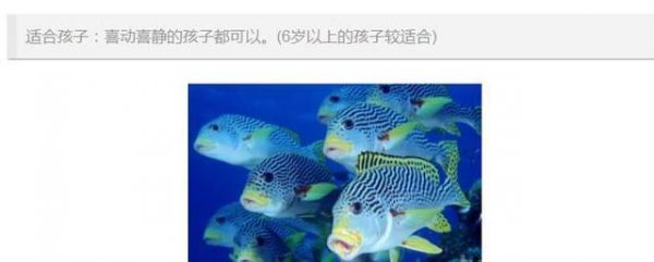 看看你家宝宝适合养什么动物！（附图）