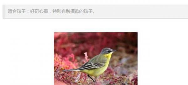看看你家宝宝适合养什么动物！（附图）