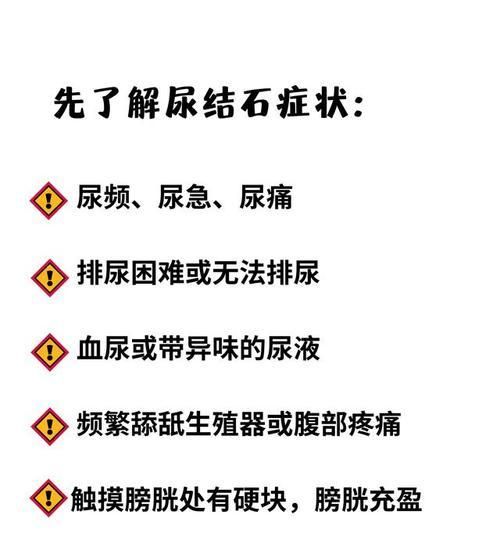 宠物狗血尿的原因、症状和治疗方法（宠物狗为什么会出现血尿？如何进行有效治疗？）-第1张图片-萌宠乐园
