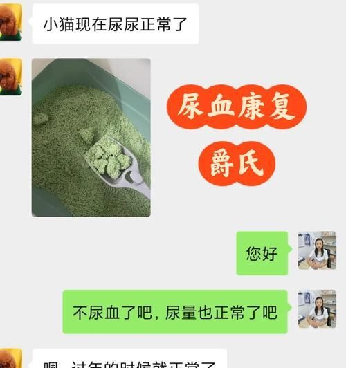宠物狗血尿的原因、症状和治疗方法（宠物狗为什么会出现血尿？如何进行有效治疗？）-第3张图片-萌宠乐园
