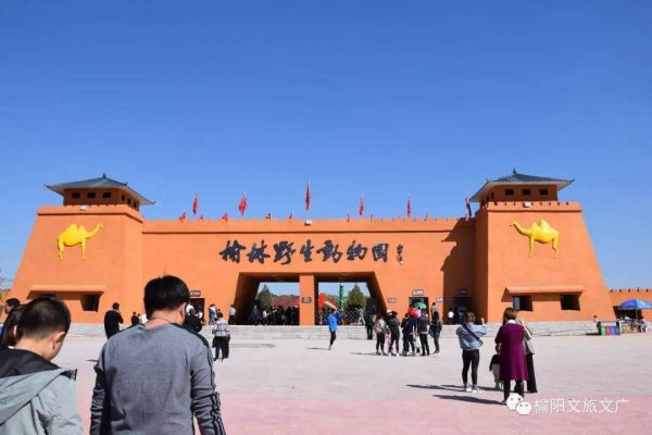 榆林萌宠乐园是一个位于陕西省榆林市的宠物主题公园，占地面积达到50亩，是集休闲娱乐、宠物销售、宠物美容、宠物医疗于一体的综合性场所。这里汇聚了世界各地的宠物品种，包括狗、猫、鸟、兔等，为游客提供了一个与宠物亲密接触的机会，同时也为宠物爱好者提供了一个交流的平台。