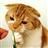 https://p1.meituan.net/userheadpicbackend/73d498687ec6a7be1cb2b08c27fdb9c31378.jpg%40120w_120h_1e_1c_1l%7Cwatermark%3D0