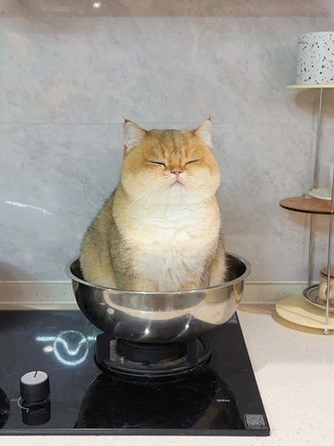 孩子懂事了 知道家里快揭不开锅了
