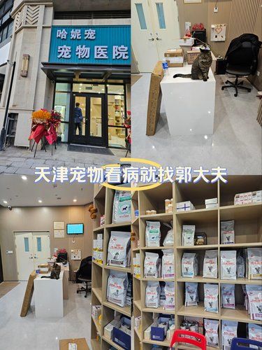 天津宠物看病就找郭大夫