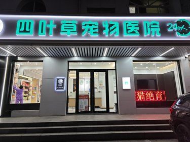 泰迪体检全记录 | 天津四叶草宠物医院体验