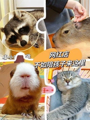 打卡网红店，不如陪孩子来这里两小时！