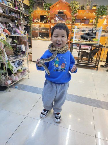 敢不敢来试试同款围巾