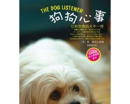 了解宠物狗狗的心理秘密（探寻狗狗内心世界，帮助你更好地与宠物相处）