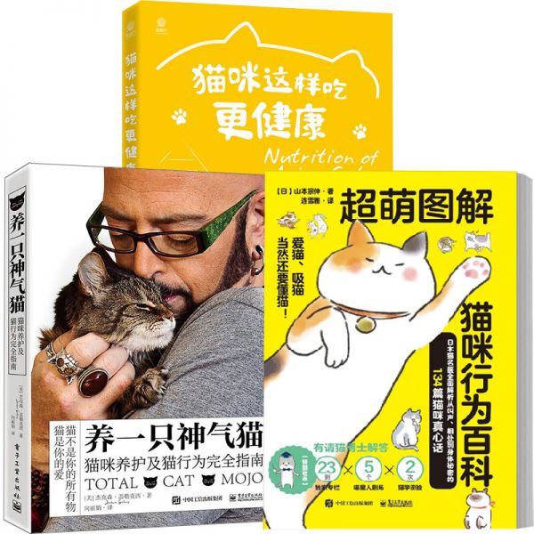 宠物猫技巧训练视频_宠物猫的训练技巧_宠物猫技巧训练图片
