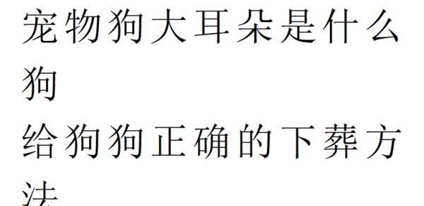 狗的类型有哪些（宠物龟推荐）