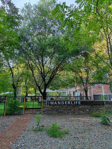 Wander life, 汪的狗生