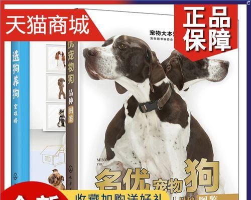 如何护理生病的宠物狗（从喂食到心理疏导，全方位护理你的狗狗）