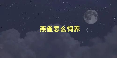 燕雀怎么饲养