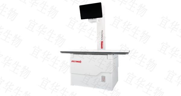 浙江异宠宠物DR厂家价格,宠物DR
