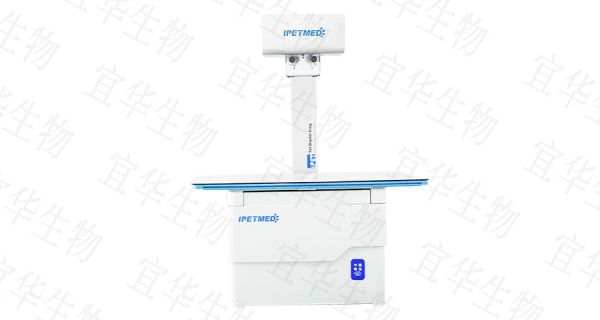 浙江异宠宠物DR厂家价格,宠物DR