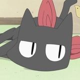 空气猫