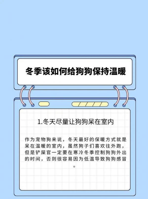 解决狗睡觉流口水问题的方法（以宠物为主，从根本解决问题）